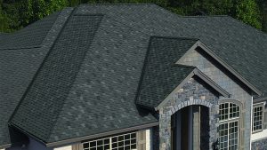 Dark gray asphalt shingle roof on a gray home
